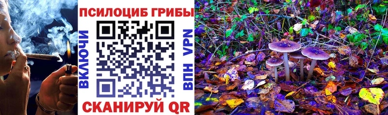 Псилоцибиновые грибы Cubensis  Купить закладки  Козьмодемьянск 